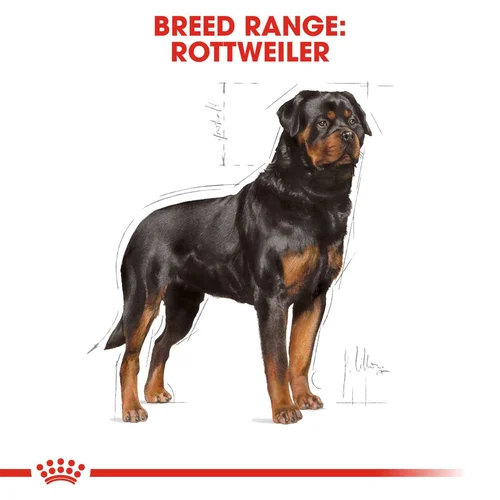 Rottweiler Adult 12kg