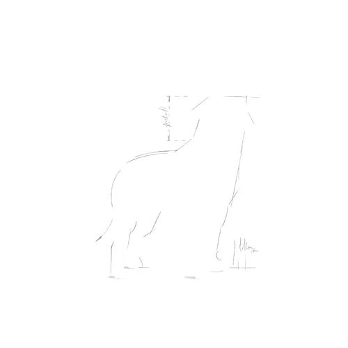 Rottweiler Adult 12kg