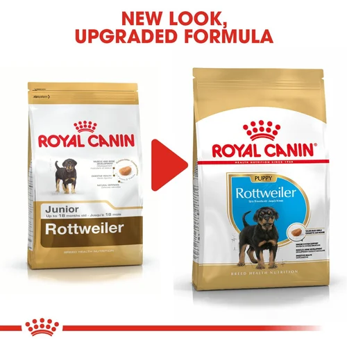 Rottweiler Puppy 12kg