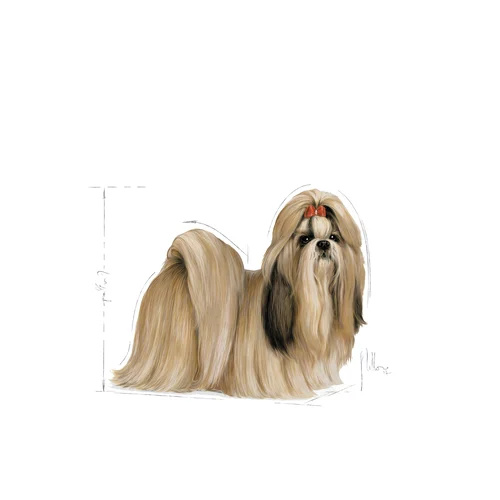 Shih Tzu Adult 1.5kg