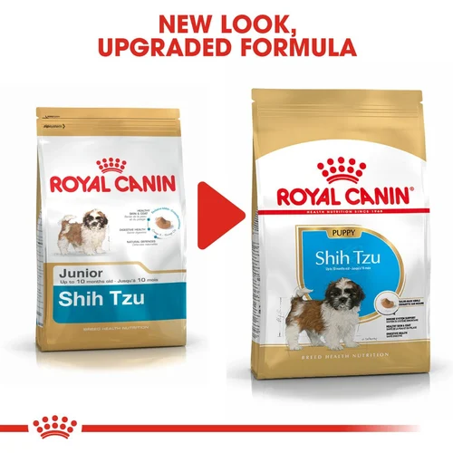 Shih Tzu Puppy 1.5kg