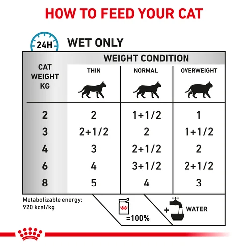 Skin  Coat Thin Slices In Gravy Cat 12X85G