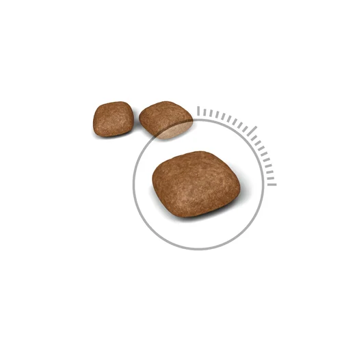 Urinary Care 400G