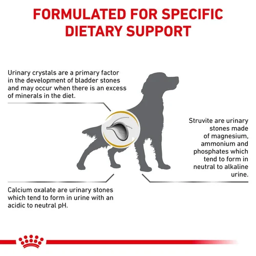Urinary SO Dog 2KG